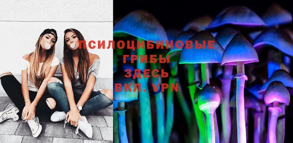 трава Медногорск