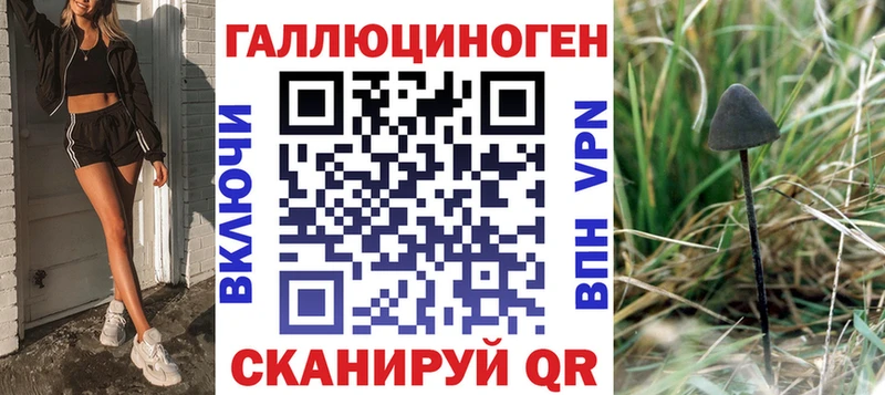 Псилоцибиновые грибы Psilocybine cubensis Поворино